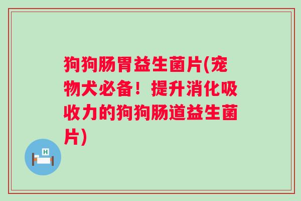 狗狗肠胃益生菌片(宠物犬必备！提升消化吸收力的狗狗肠道益生菌片)