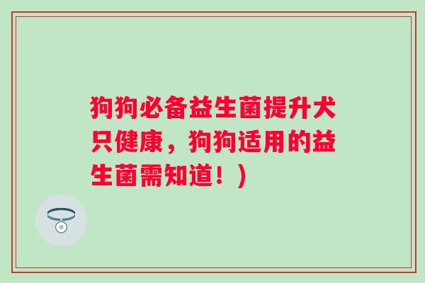狗狗必备益生菌提升犬只健康,狗狗适用的益生菌需知道!) 狗狗必备益生菌提升犬只健康,狗狗适用的益生菌需知道!)