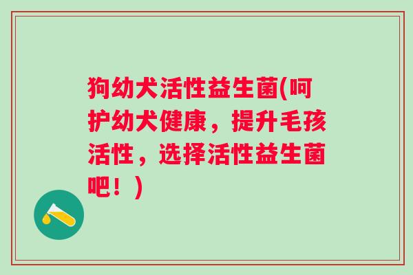 狗幼犬活性益生菌(呵护幼犬健康，提升毛孩活性，选择活性益生菌吧！)