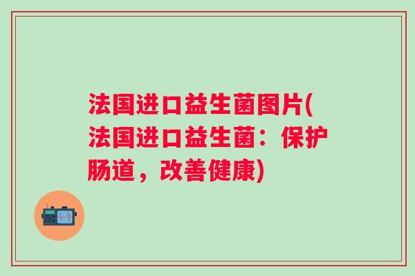 法国进口益生菌图片(法国进口益生菌：保护肠道，改善健康)