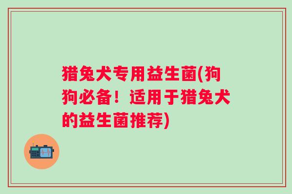 猎兔犬专用益生菌(狗狗必备！适用于猎兔犬的益生菌推荐)