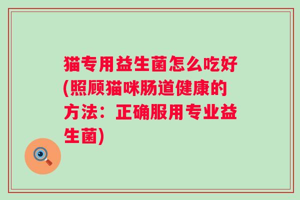 猫专用益生菌怎么吃好(照顾猫咪肠道健康的方法：正确服用专业益生菌)