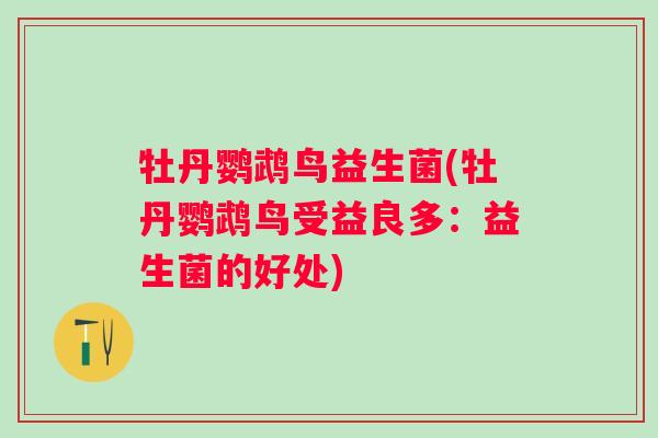 牡丹鹦鹉鸟益生菌(牡丹鹦鹉鸟受益良多：益生菌的好处)