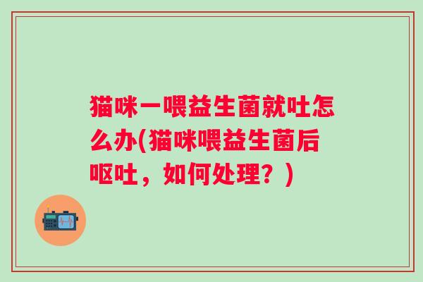 猫咪一喂益生菌就吐怎么办(猫咪喂益生菌后呕吐，如何处理？)