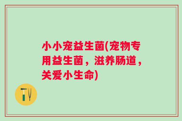 小小宠益生菌(宠物专用益生菌,滋养肠道,关爱小生命) 小小宠益生菌(宠物专用益生菌,滋养肠道,关爱小生命)