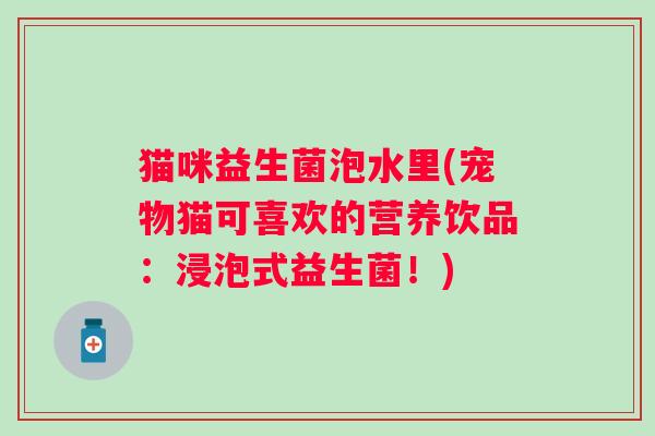猫咪益生菌泡水里(宠物猫可喜欢的营养饮品：浸泡式益生菌！)
