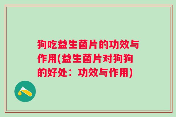 狗吃益生菌片的功效与作用(益生菌片对狗狗的好处：功效与作用)