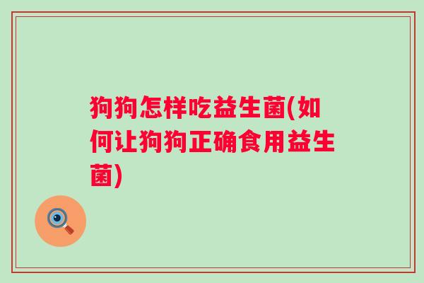 狗狗怎样吃益生菌(如何让狗狗正确食用益生菌)