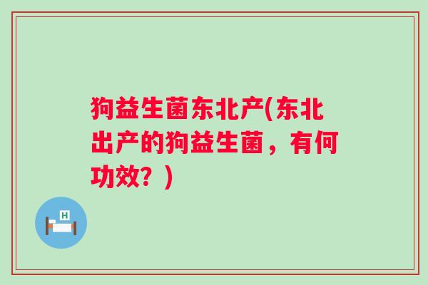 狗益生菌东北产(东北出产的狗益生菌，有何功效？)