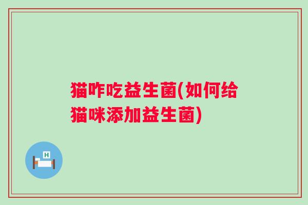 猫咋吃益生菌(如何给猫咪添加益生菌)