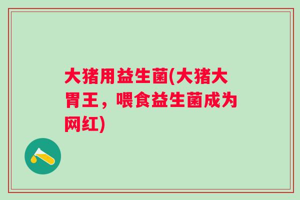 大猪用益生菌(大猪大胃王，喂食益生菌成为网红)