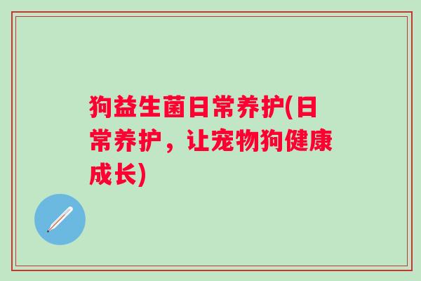 狗益生菌日常养护(日常养护，让宠物狗健康成长)