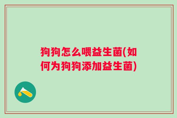 狗狗怎么喂益生菌(如何为狗狗添加益生菌)