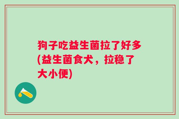 狗子吃益生菌拉了好多(益生菌食犬，拉稳了大小便)