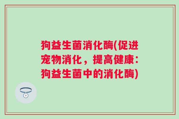 狗益生菌消化酶(促进宠物消化，提高健康：狗益生菌中的消化酶)