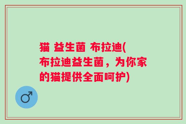 猫 益生菌 布拉迪(布拉迪益生菌,为你家的猫提供全面呵护) 猫 益生菌 布拉迪(布拉迪益生菌,为你家的猫提供全面呵护)
