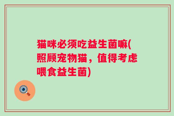 猫咪必须吃益生菌嘛(照顾宠物猫，值得考虑喂食益生菌)