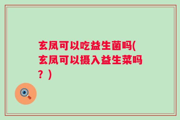 玄凤可以吃益生菌吗(玄凤可以摄入益生菜吗？)