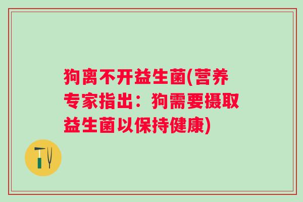 狗离不开益生菌(营养专家指出：狗需要摄取益生菌以保持健康)