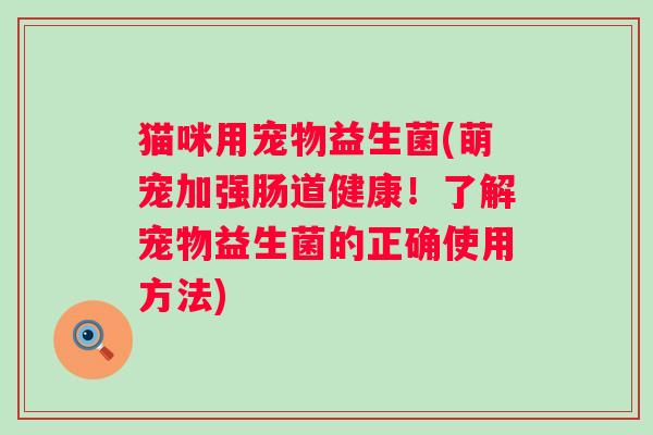 猫咪用宠物益生菌(萌宠加强肠道健康!了解宠物益生菌的正确使用方法) 猫咪用宠物益生菌(萌宠加强肠道健康!了解宠物益生菌的正确使用方法)