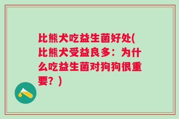 比熊犬吃益生菌好处(比熊犬受益良多：为什么吃益生菌对狗狗很重要？)