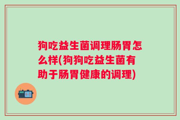 狗吃益生菌调理肠胃怎么样(狗狗吃益生菌有助于肠胃健康的调理)