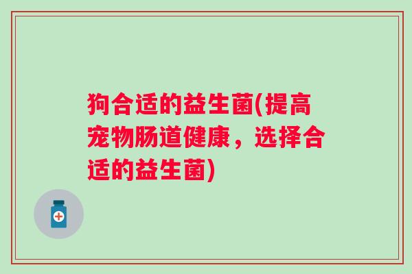 狗合适的益生菌(提高宠物肠道健康,选择合适的益生菌) 狗合适的益生菌(提高宠物肠道健康,选择合适的益生菌)