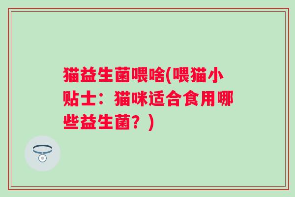 猫益生菌喂啥(喂猫小贴士：猫咪适合食用哪些益生菌？)