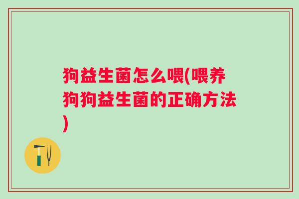 狗益生菌怎么喂(喂养狗狗益生菌的正确方法) 狗益生菌怎么喂(喂养狗狗益生菌的正确方法)