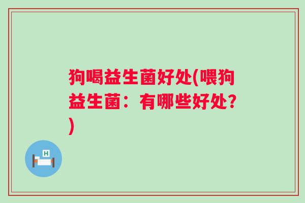 狗喝益生菌好处(喂狗益生菌:有哪些好处?) 狗喝益生菌好处(喂狗益生菌:有哪些好处?)