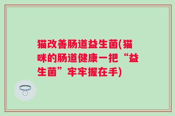 猫改善肠道益生菌(猫咪的肠道健康一把“益生菌”牢牢握在手) 猫改善肠道益生菌(猫咪的肠道健康一把“益生菌”牢牢握在手)