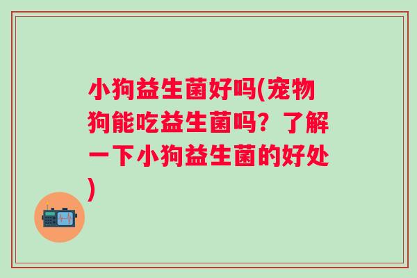小狗益生菌好吗(宠物狗能吃益生菌吗？了解一下小狗益生菌的好处)