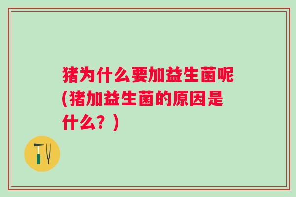 猪为什么要加益生菌呢(猪加益生菌的原因是什么？)