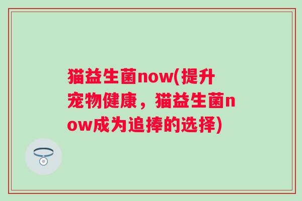 猫益生菌now(提升宠物健康，猫益生菌now成为追捧的选择)