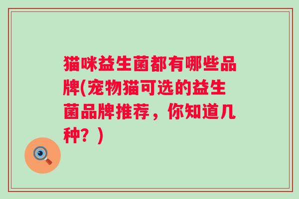 猫咪益生菌都有哪些品牌(宠物猫可选的益生菌品牌推荐，你知道几种？)