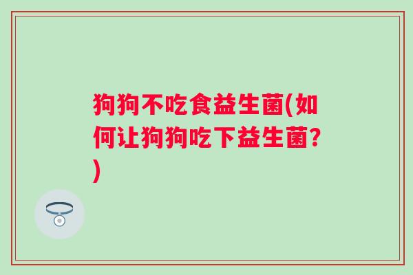 狗狗不吃食益生菌(如何让狗狗吃下益生菌？)