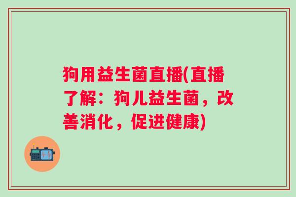 狗用益生菌直播(直播了解：狗儿益生菌，改善消化，促进健康)