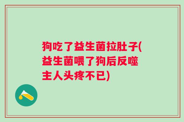 狗吃了益生菌拉肚子(益生菌喂了狗后反噬 主人头疼不已)
