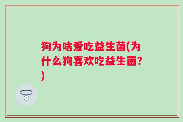 狗为啥爱吃益生菌(为什么狗喜欢吃益生菌?) 狗为啥爱吃益生菌(为什么狗喜欢吃益生菌?)