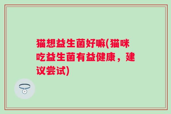 猫想益生菌好嘛(猫咪吃益生菌有益健康，建议尝试)