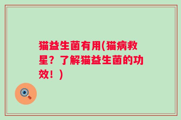 猫益生菌有用(猫病救星？了解猫益生菌的功效！)
