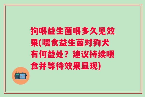 狗喂益生菌喂多久见效果(喂食益生菌对狗犬有何益处？建议持续喂食并等待效果显现)