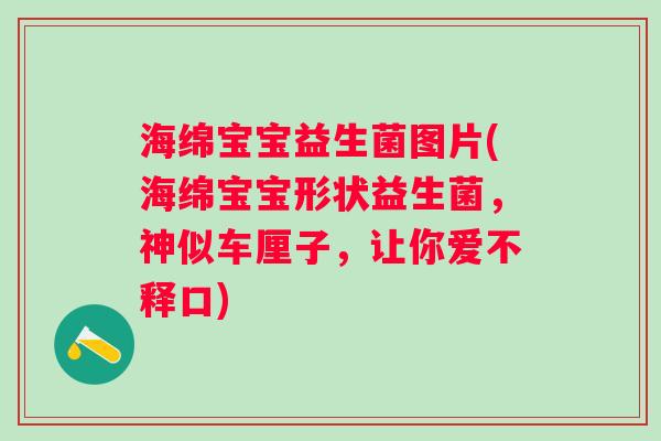 海绵宝宝益生菌图片(海绵宝宝形状益生菌，神似车厘子，让你爱不释口)