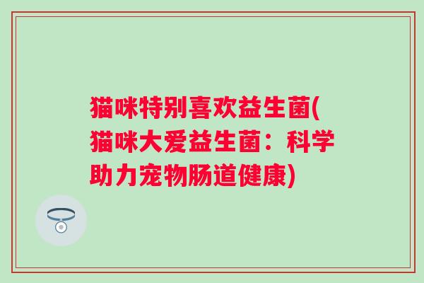 猫咪特别喜欢益生菌(猫咪大爱益生菌：科学助力宠物肠道健康)