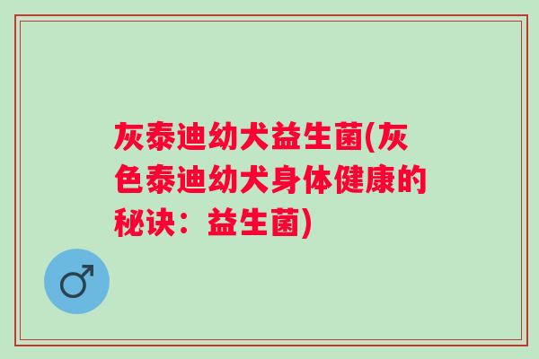 灰泰迪幼犬益生菌(灰色泰迪幼犬身体健康的秘诀：益生菌)