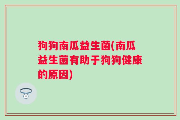 狗狗南瓜益生菌(南瓜益生菌有助于狗狗健康的原因) 狗狗南瓜益生菌(南瓜益生菌有助于狗狗健康的原因)