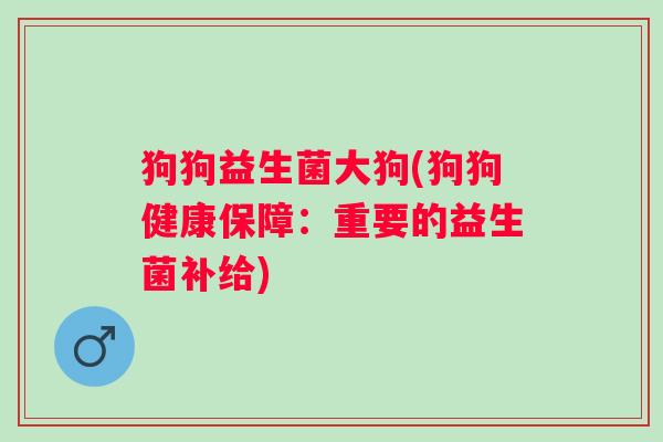 狗狗益生菌大狗(狗狗健康保障：重要的益生菌补给)