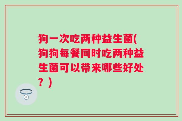 狗一次吃两种益生菌(狗狗每餐同时吃两种益生菌可以带来哪些好处？)
