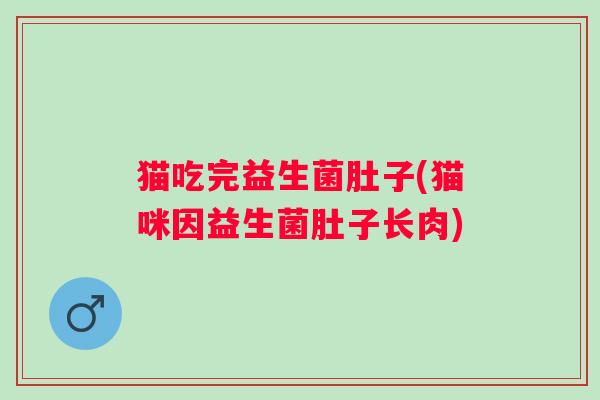 猫吃完益生菌肚子(猫咪因益生菌肚子长肉)