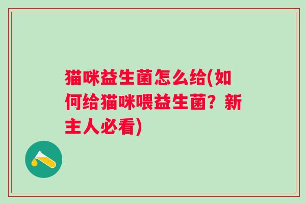 猫咪益生菌怎么给(如何给猫咪喂益生菌？新主人必看)